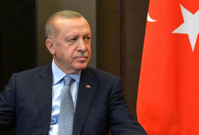 No progress on Swedish, Finnish NATO bids, Turkish President says 