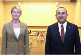 Turkish and Estonian FMs discuss Turkish-Armenian relations