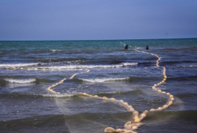   5 states, 4 protocols, 1 convention: What do we fail to do to protect the Caspian? -   OPINION    