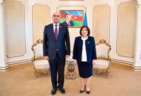  Chair of Azerbaijani parliament meets her Tajik counterpart   