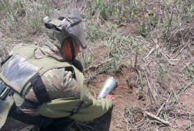   Azerbaijan demines more than 17,000 hectares of area in liberated territories -   VIDEO    