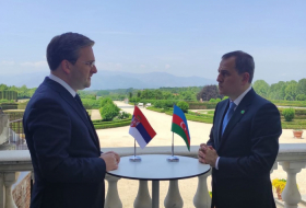 Azerbaijani, and Serbian FMs hold meeting