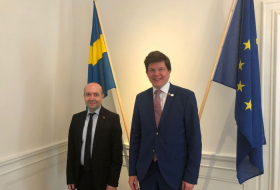 Azerbaijani deputy FM makes working visit to Sweden