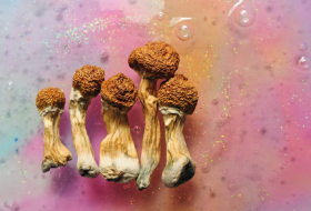   How psychedelic drugs might treat depression -   iWONDER    