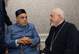   Allahshukur Pashazade attends meeting in Vienna   