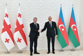  Azerbaijani President makes phone call to Georgian PM  