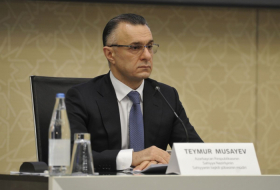 Azerbaijani minister talks role of public-private partnership in medicine dev't