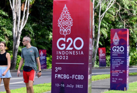   The G20 in an Age of War -   OPINION    