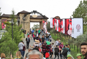 Second Grape and Wine festival to be held in Azerbaijan's Shamakhi
 