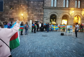   Azerbaijani community holds picket in front of Swedish Parliament   