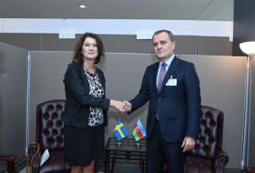   Azerbaijani FM meets with Swedish counterpart  