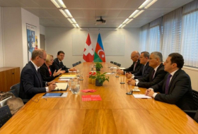  Meeting held between Azerbaijani FM and Swiss State Secretary in Geneva  