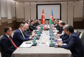   Azerbaijan, Türkiye discuss electricity transmission through Zangazur corridor - Parviz Shahbazov   
 