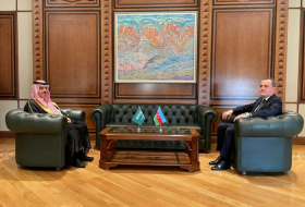   Azerbaijani, Saudi Arabian FMs hold meeting   