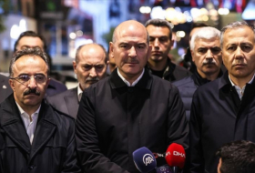  Person behind Istanbul blast arrested - Turkish Interior Minister 