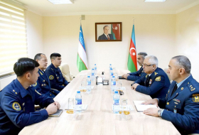 Air Forces of Azerbaijan and Uzbekistan mull expansion of cooperation 