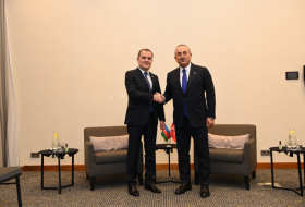   Azerbaijani, Turkish FMs discuss ongoing co-op issues   