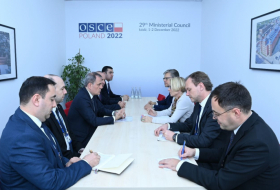   Azerbaijani FM discusses regional situation with Swiss counterpart   