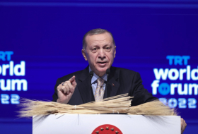 Common future difficult with countries that support terror - Erdogan 