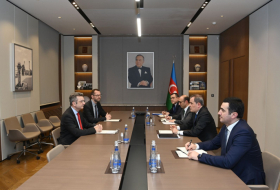   Azerbaijani FM discusses bilateral ties with German Ambassador   