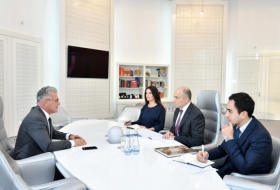 Azerbaijan and Croatia discuss cultural ties