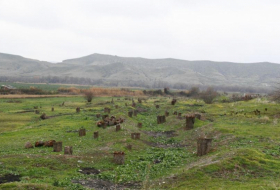 Azerbaijan's parliamentary committee plans to discuss environmental issues of Karabakh