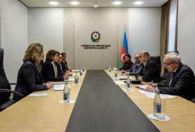 Azerbaijan, IFC exchange views over green energy development and transport