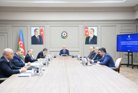 Economic Council of Azerbaijan holds first 2023 session