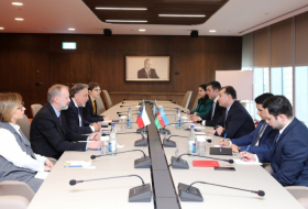 Azerbaijan, Czech Republic discuss economic cooperation