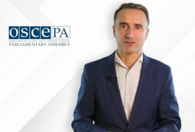     An Open letter   to the OSCE PA vice-president mr.   Pere Joan Pons    