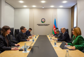 Azerbaijani energy minister, TAP executive director talk on prospects for hydrogen transporting