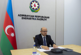 Azerbaijani energy minister to take part in int'l conference in Berlin 