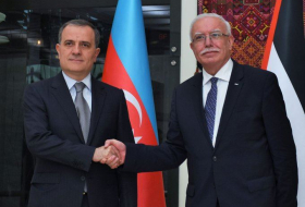 Azerbaijan FM meets his Palestinian counterpart 