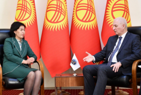 International Turkic Academy, Kyrgyzstan discuss cultural cooperation