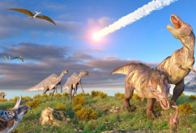   Did the dinosaurs reach their maximum possible size? -   iWONDER    