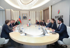 SOCAR President meets Czech Minister of Industry and Trade 