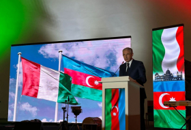 Azerbaijan became one of main gas suppliers to Italy, following launch of TAP, says minister