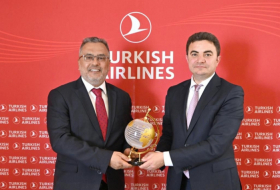AZAL and Turkish Airlines discuss prospects for aviation cooperation