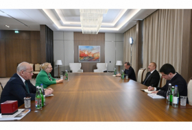  President Ilham Aliyev received Director-General of UN Office at Geneva      