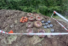   Azerbaijan continues to neutralize mines in its Karabakh region  