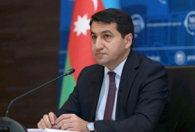   Azerbaijan has political vision for making progress towards reintegration: Presidential aide  