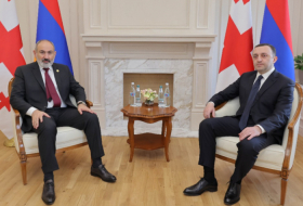 Georgian, Armenian PMs discuss cooperation, regional matters