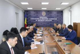 Azerbaijan and Moldova discuss cooperation in agrarian sector