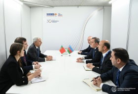  Portuguese companies invited to participate in Azerbaijan's renewable energy projects 
