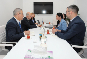 Azerbaijan and Albania discuss energy cooperation