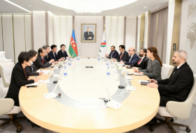 SOCAR, China International Energy Group Co. Ltd mull prospects for cooperation