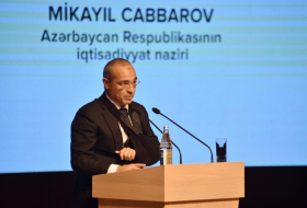 Minister: Azerbaijan invested $19.9 billion in fraternal Türkiye in 1995-2023