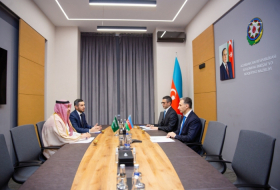 Azerbaijan, Saudi Arabia discuss collaboration in aviation and innovation