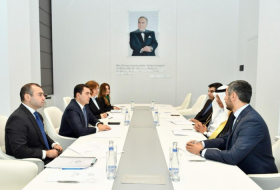 Azerbaijan, Saudi Arabia mull prospects for cultural cooperation