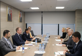 Azerbaijan, World Bank mull cooperation in energy sector